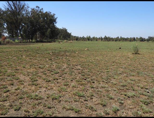 115,300M² VACANT LAND FOR SALE IN DE DEUR